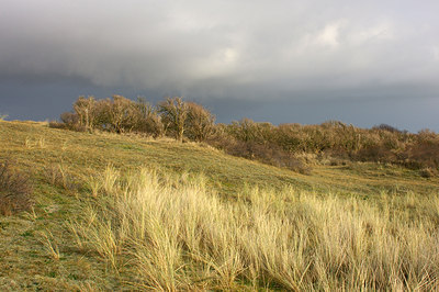 BUITEN BEELD Foto: 72894
