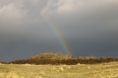 BUITEN BEELD Foto: 72895