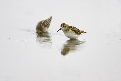 BUITEN BEELD Foto: 72900
