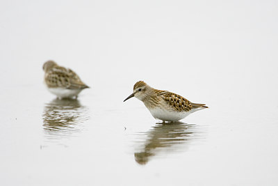 BUITEN BEELD Foto: 72902