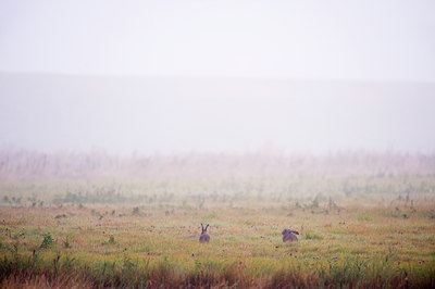 BUITEN BEELD Foto: 72932