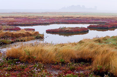 BUITEN BEELD Foto: 72937