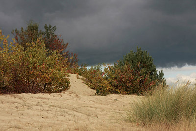 BUITEN BEELD Foto: 72971