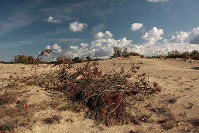 BUITEN BEELD Foto: 72980