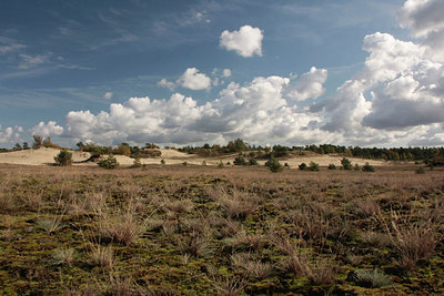 BUITEN BEELD Foto: 72981