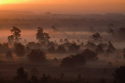 BUITEN BEELD Foto: 72996