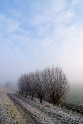 BUITEN BEELD Foto: 73009