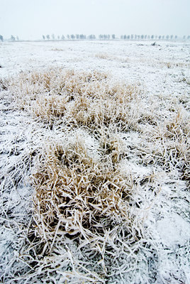 BUITEN BEELD Foto: 73018