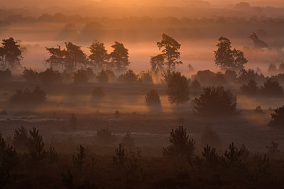 BUITEN BEELD Foto: 73024