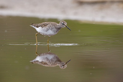 BUITEN BEELD Foto: 73051