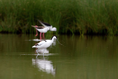 BUITEN BEELD Foto: 73058