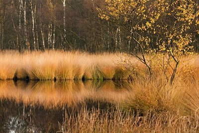 BUITEN BEELD Foto: 73105
