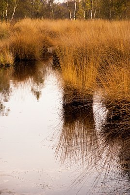 BUITEN BEELD Foto: 73107