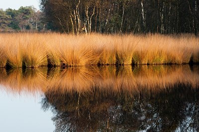 BUITEN BEELD Foto: 73109