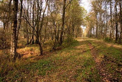 BUITEN BEELD Foto: 73112