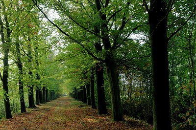 BUITEN BEELD Foto: 73139