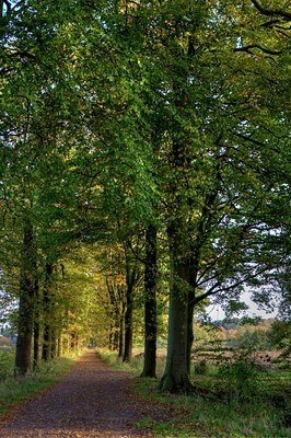BUITEN BEELD Foto: 73143