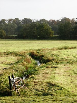 BUITEN BEELD Foto: 73148