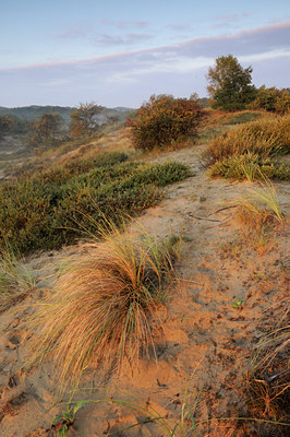 BUITEN BEELD Foto: 73153