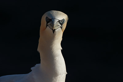 BUITEN BEELD Foto: 73168