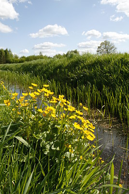 BUITEN BEELD Foto: 73199