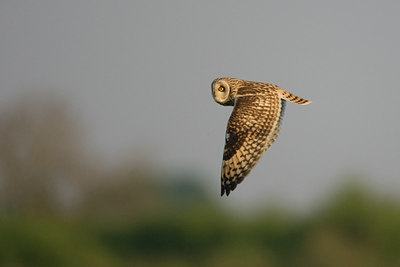 BUITEN BEELD Foto: 73206