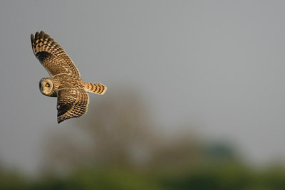 BUITEN BEELD Foto: 73207