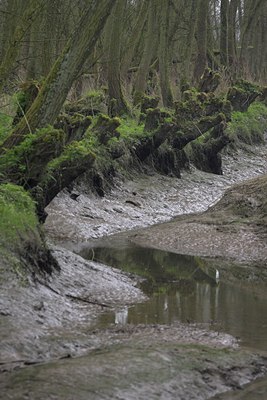 BUITEN BEELD Foto: 73243