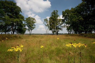 BUITEN BEELD Foto: 73286