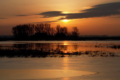 BUITEN BEELD Foto: 73314