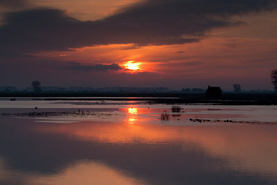 BUITEN BEELD Foto: 73319