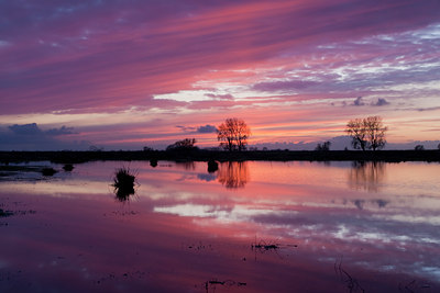 BUITEN BEELD Foto: 73332