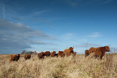 BUITEN BEELD Foto: 73341