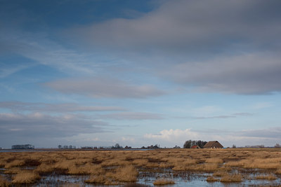 BUITEN BEELD Foto: 73346