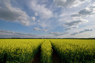 BUITEN BEELD Foto: 73362