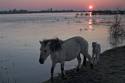 BUITEN BEELD Foto: 73393