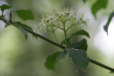 BUITEN BEELD Foto: 73424