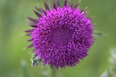 BUITEN BEELD Foto: 73426