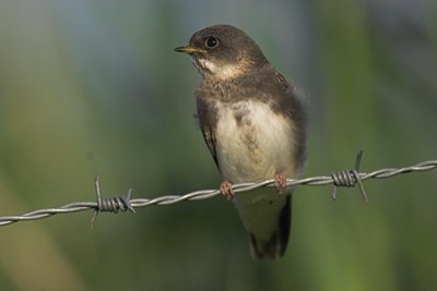 BUITEN BEELD Foto: 73429