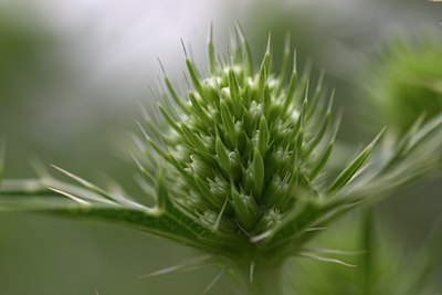 BUITEN BEELD Foto: 73443
