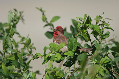 BUITEN BEELD Foto: 73455