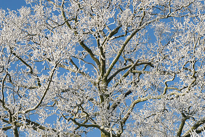BUITEN BEELD Foto: 73472