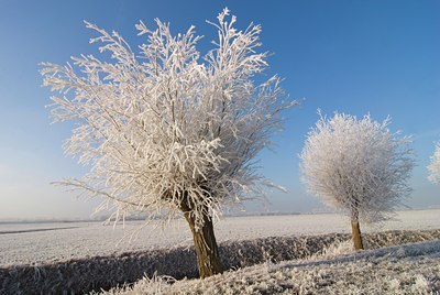 BUITEN BEELD Foto: 73528