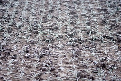 BUITEN BEELD Foto: 73535