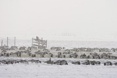 BUITEN BEELD Foto: 73545