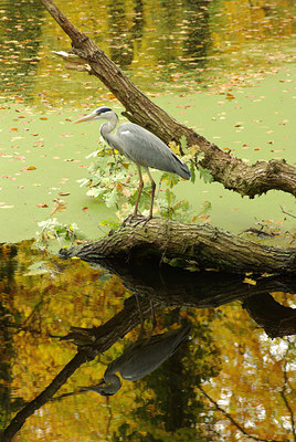 BUITEN BEELD Foto: 73552