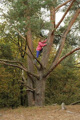BUITEN BEELD Foto: 73553