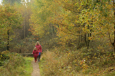 BUITEN BEELD Foto: 73554