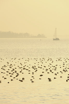 BUITEN BEELD Foto: 73559