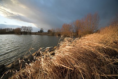 BUITEN BEELD Foto: 73574